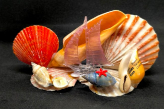 art_352_velero